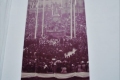 arad-kulturpalota-1848-1849-ereklyemuzeum-1890-a-szabadsag-szobor-felavatasa-7