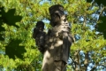 Esztergom - Kuckländer-Madonna szobor
