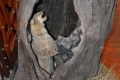 Hortobágyi Nemzeti Park Látogatóközpont