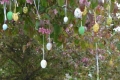 Kocsord Húsvéti hangulatban tojásokkal feldíszített fákkal