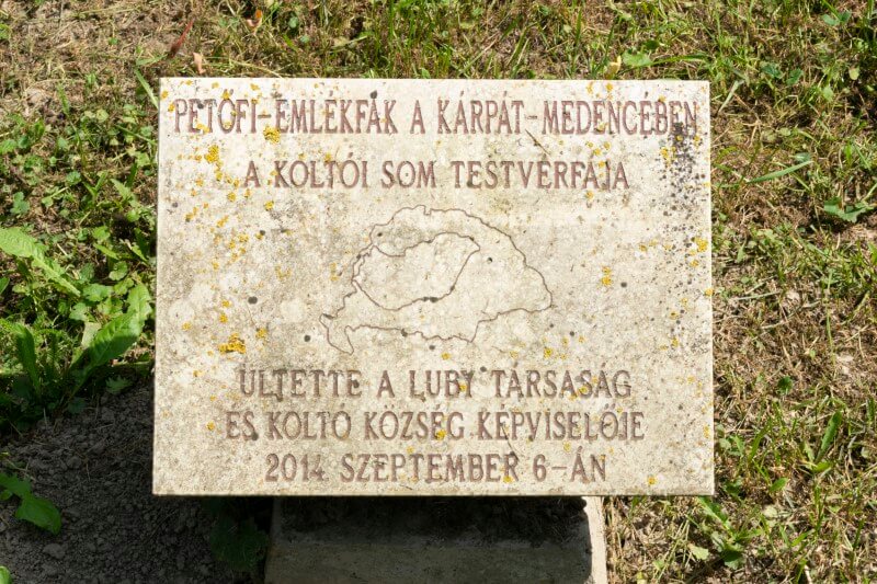 Nagyar - A Petőfi-fa koltói testvérfájának emléktáblája