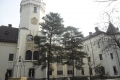 Nagykároly Károlyi kastély tornya és címere