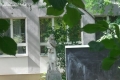 Nyíregyháza Anya gyermekkel szobor a Vécsey Károly általános iskola udvarán