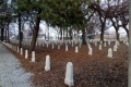 Nyíregyháza I. világháborús hősök temetője