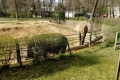 Nyíregyházi Állatpark Az elefántok