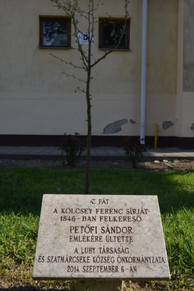 Szatmárcseke - Kölcsey Ferenc sírját felkereső Petőfi Sándor emlékére ültetett fa