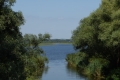 Tiszanagyfalu - Morotva tó