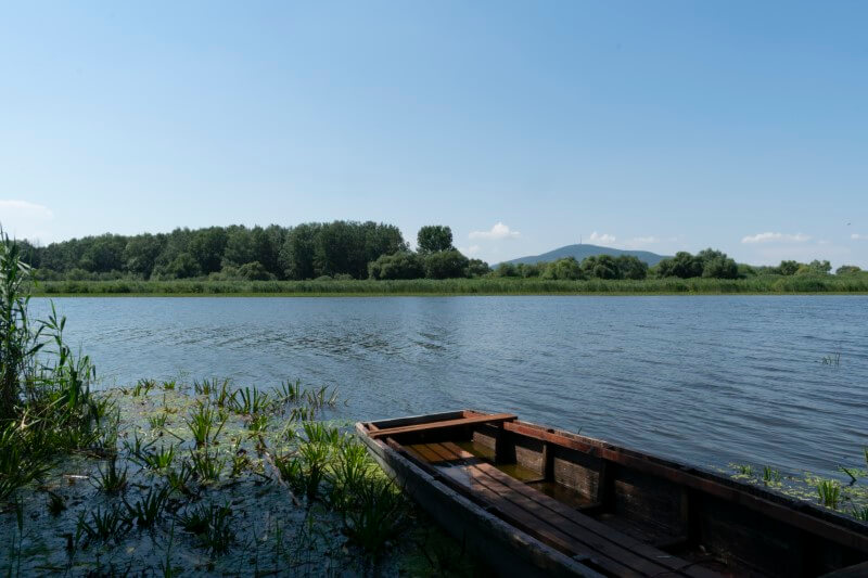 Tiszanagyfalu - Morotva tó