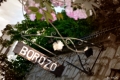 Tokaj borozó cégér