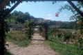 A zsibói arborétum