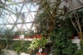 Zsibói Arborétum