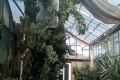 A zsibói arborétum kaktuszai az üvegházban