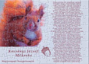 Kossányi József - Mókuska puzzle